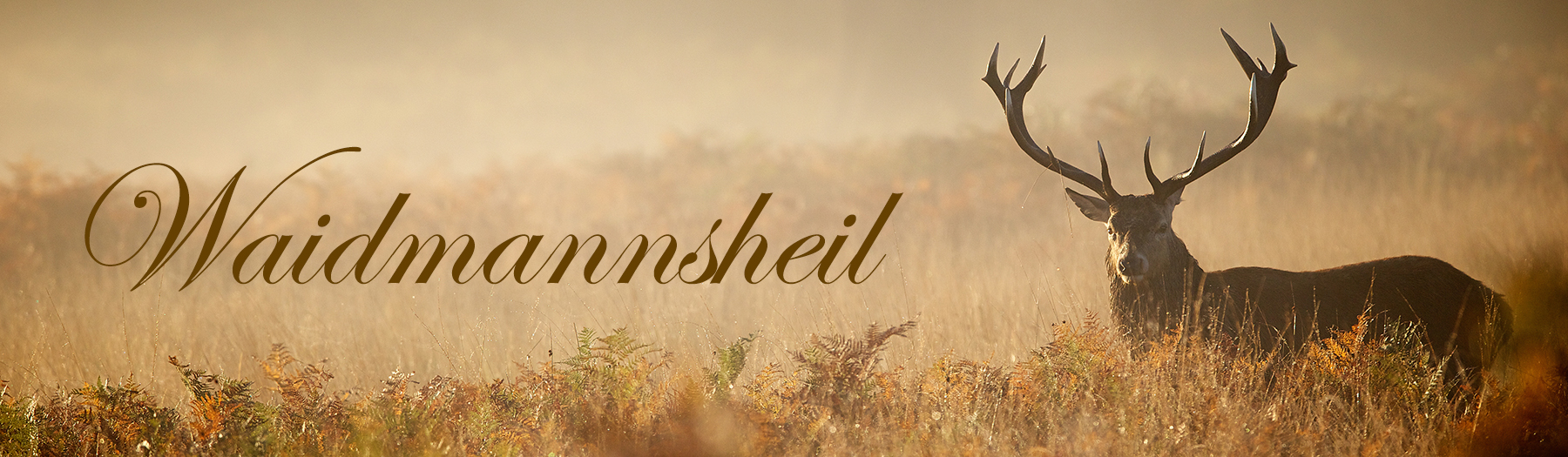 Jäger und Sportschützen